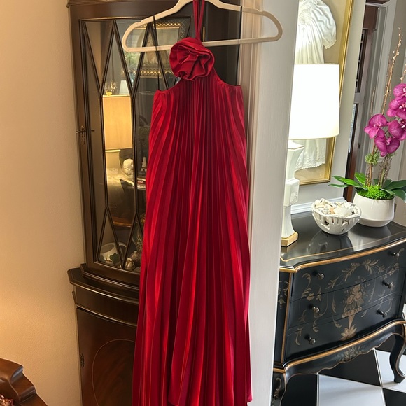 Elegant Red Pleated Dress - Picture 3 of 3